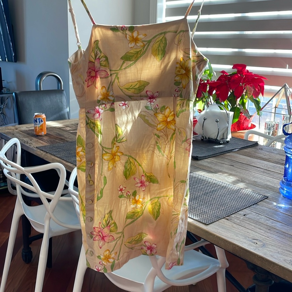 Amuse society dress